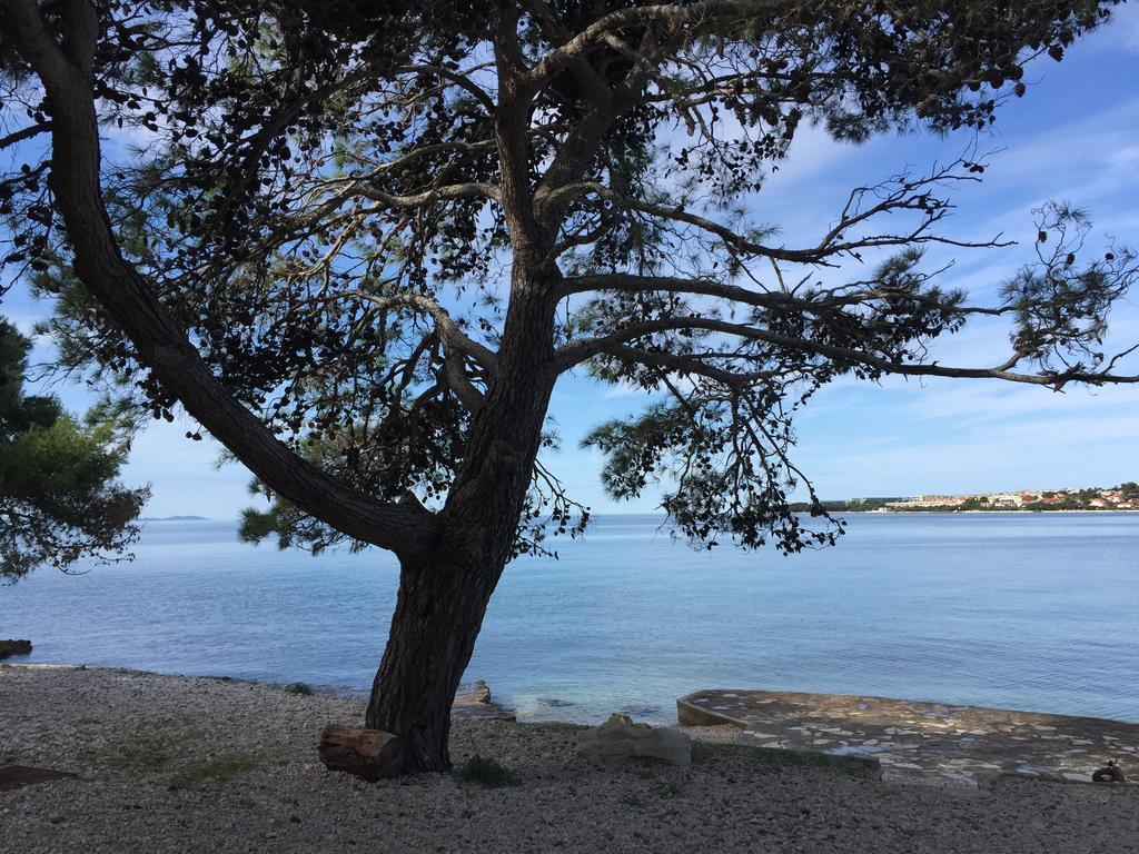 Ana'S Apartments Petrcane Εξωτερικό φωτογραφία
